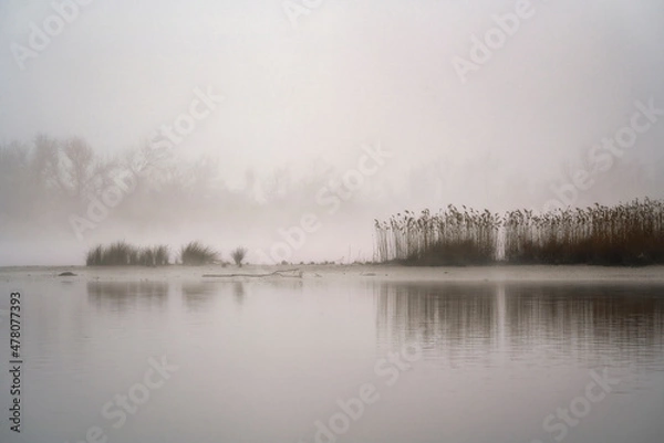 Obraz Delta del pò di Goro