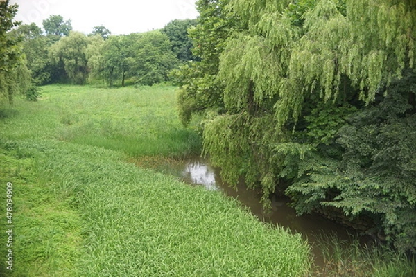 Obraz 공원 늪지_2