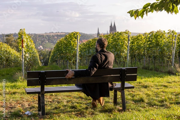 Obraz Weinreben mit Tourist