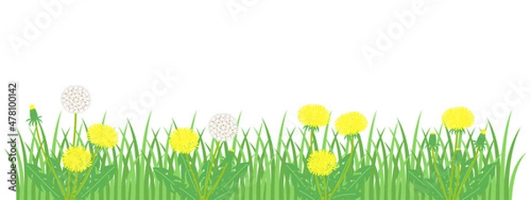 Fototapeta タンポポのおしゃれなイラスト