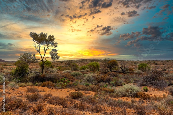 Obraz Sunset over a beautiful Australian outback landscape with bushes and a tree against the background with the warm colors of a real Outback sunset