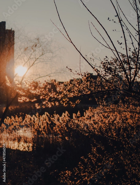 Obraz sunset over the river