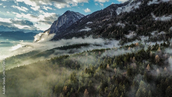 Fototapeta Wald und Berg im Nebel 