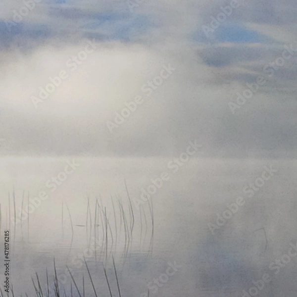 Fototapeta fog over the river