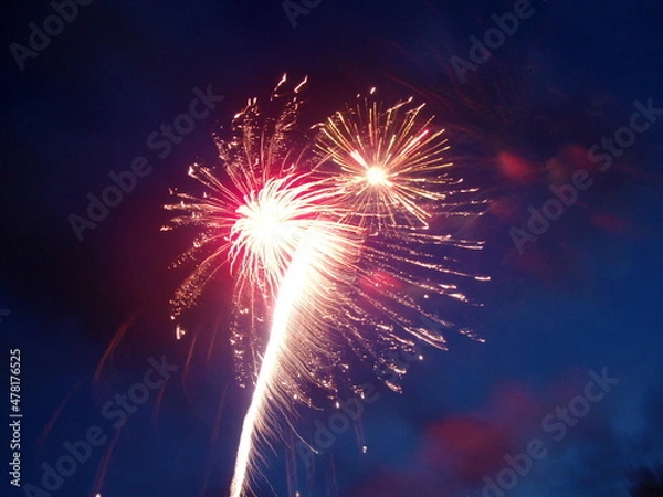 Fototapeta OLYMPUS DIGITAL CAMERA