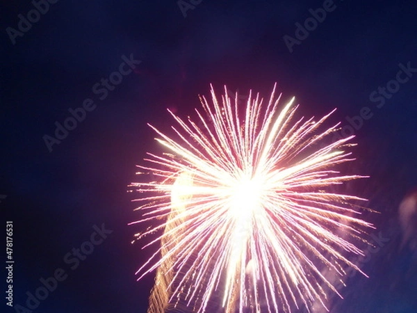 Fototapeta OLYMPUS DIGITAL CAMERA