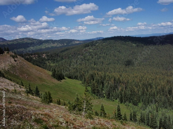 Fototapeta OLYMPUS DIGITAL CAMERA