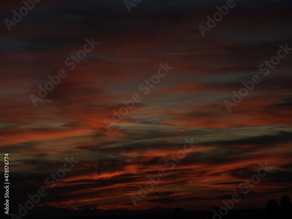 Fototapeta OLYMPUS DIGITAL CAMERA