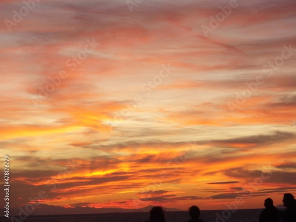 Fototapeta OLYMPUS DIGITAL CAMERA