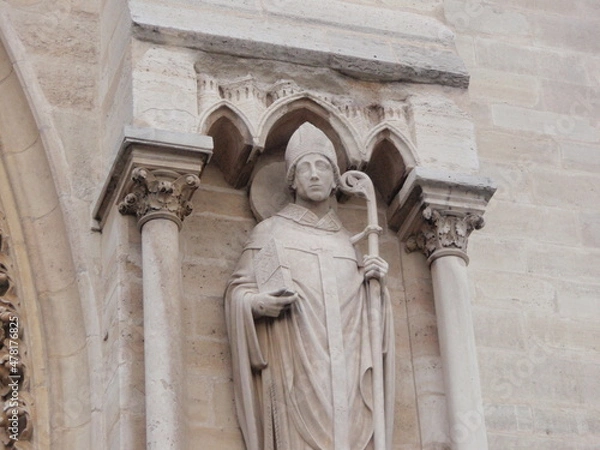 Fototapeta OLYMPUS DIGITAL CAMERA