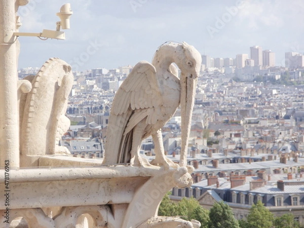 Fototapeta OLYMPUS DIGITAL CAMERA