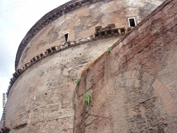 Fototapeta OLYMPUS DIGITAL CAMERA