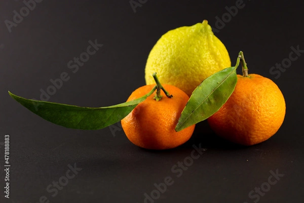 Obraz oranges on a black