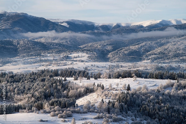 Fototapeta beautiful snowy mountains in Slovakia