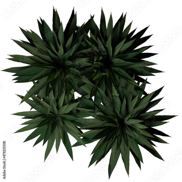 Fototapeta VEGETATION TOP VIEW - TREES PLANTS AND BUSHES IN PLAN