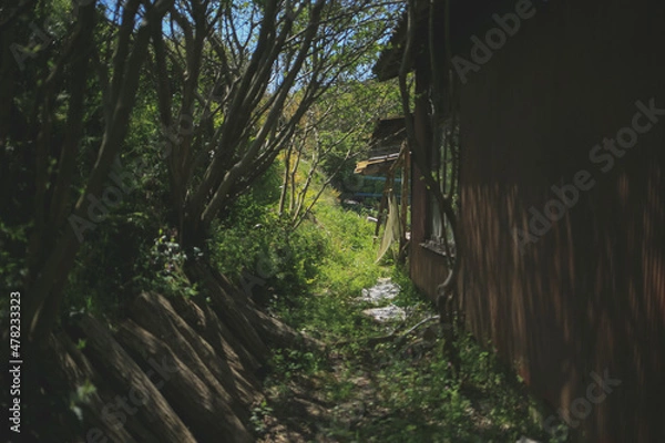 Obraz 空き家の裏側にある神秘的な通り