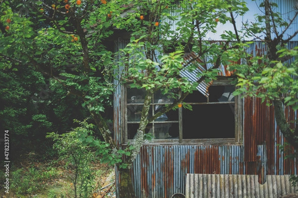 Fototapeta レトロな空き家