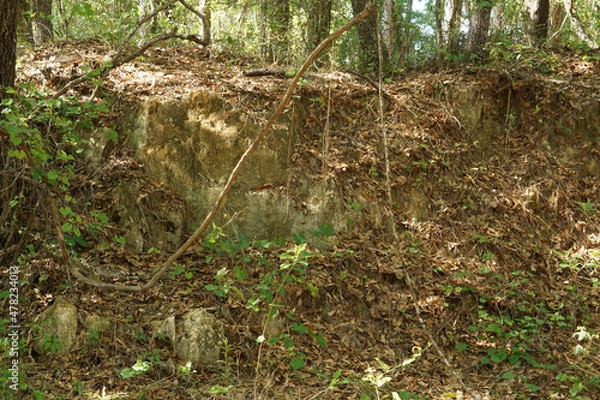Fototapeta Florida Clay Cliff