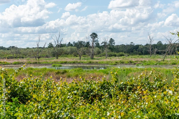 Fototapeta Prairie View