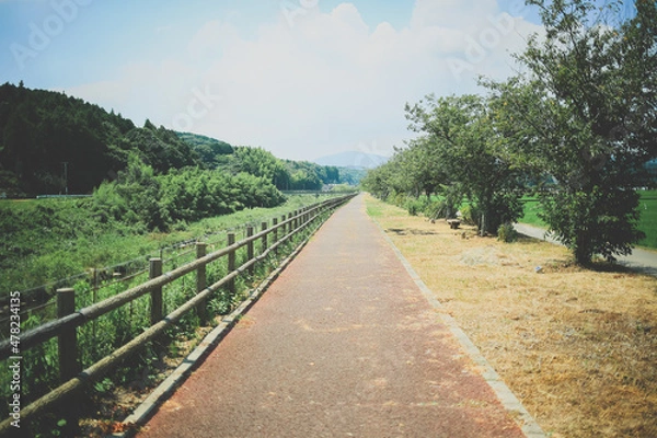 Obraz 川辺の遊歩道