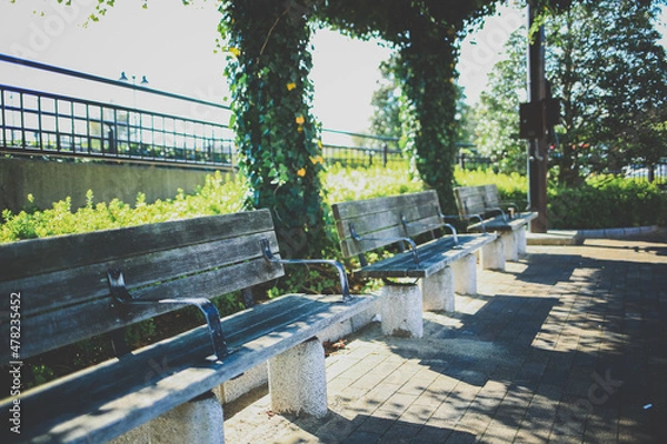 Fototapeta 公園のベンチ