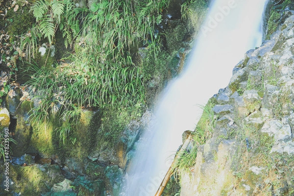 Fototapeta 滝
