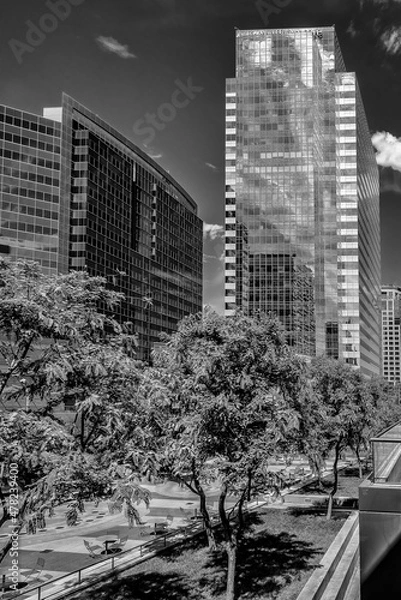 Obraz Phoenix Sky Line