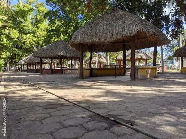 Obraz parque11