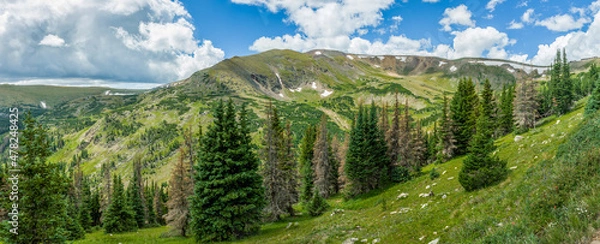 Obraz landscape with grass and mountains