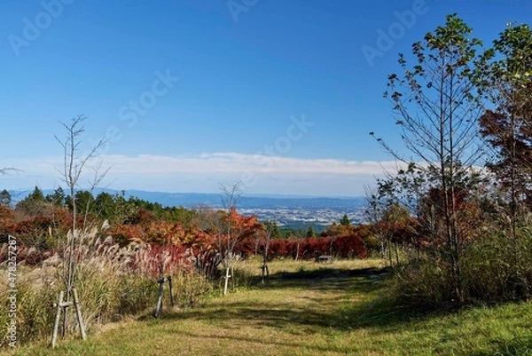 Obraz 植樹祭記念緑地公園