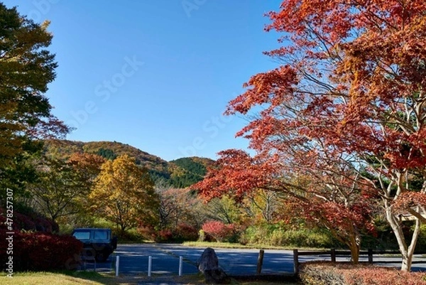 Obraz 植樹祭記念緑地公園　駐車場