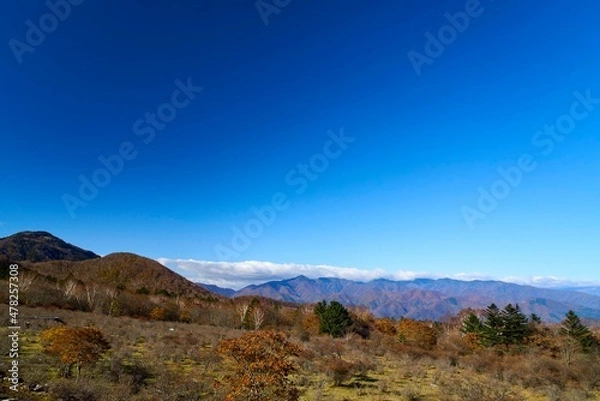 Obraz 八方ヶ原　栃木県