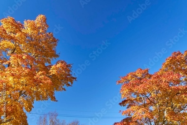 Obraz 山の駅たかはら