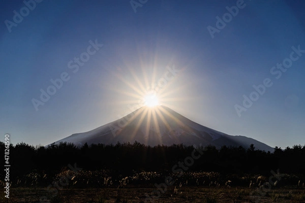 Obraz 山梨県花の都公園からのダイヤモンド富士