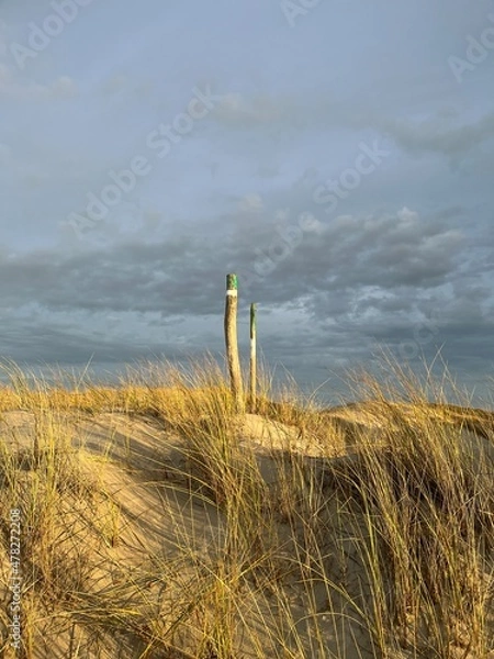 Fototapeta path to the beach
