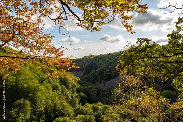 Obraz Autumn view in Söderåsen