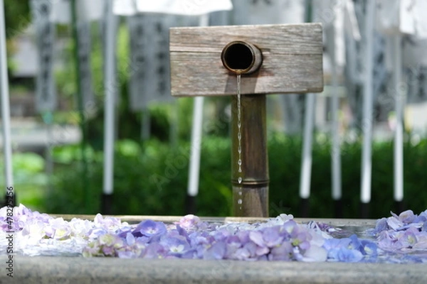 Obraz 花と手水鉢