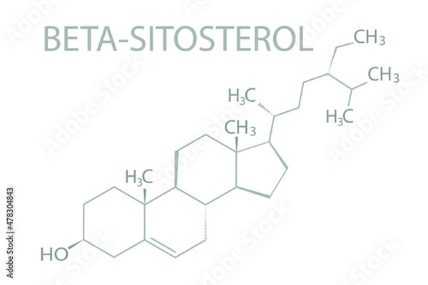 Fototapeta Beta-sitosterol molecular skeletal chemical formula.