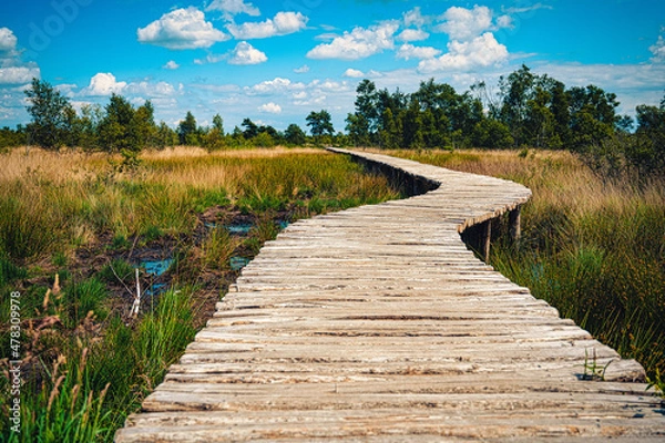 Obraz De groote Peel