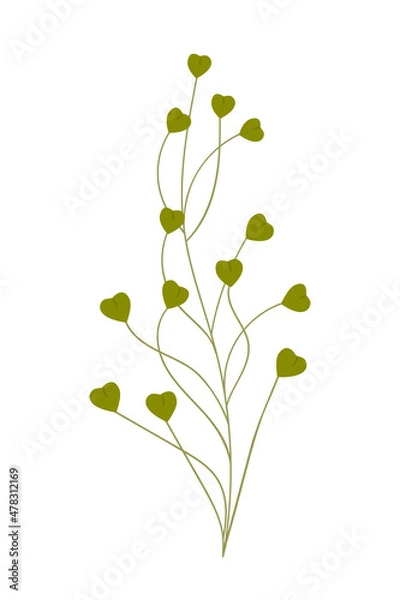 Fototapeta Vector illustration of a green meadow grass isolated on white background.
