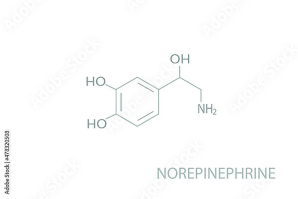 Fototapeta Norepinephrine molecular skeletal chemical formula.