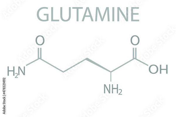 Obraz Glutamine molecular skeletal chemical formula.