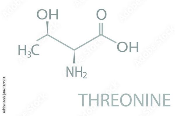 Fototapeta Threonine molecular skeletal chemical formula.