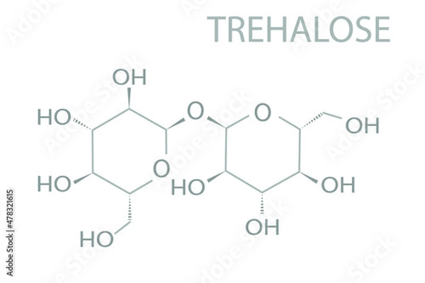Fototapeta Trehalose molecular skeletal chemical formula.
