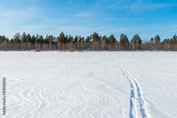 Fototapeta Ski track on a snowy field. Forest in the background