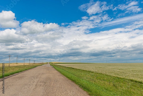Fototapeta A wide road stretching into the distance and against the backdrop of endless fields and hills on a summer day.