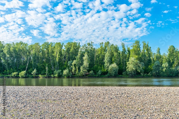 Fototapeta A river with a pebble bank