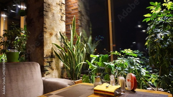 Obraz Sansevieria of evergreen perennial herbaceous plants in a cafe in a bar against a brick wall