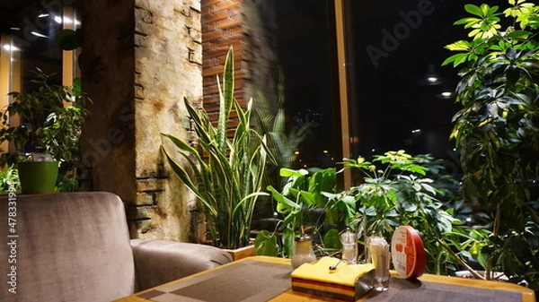 Obraz Sansevieria of evergreen perennial herbaceous plants in a cafe in a bar against a brick wall