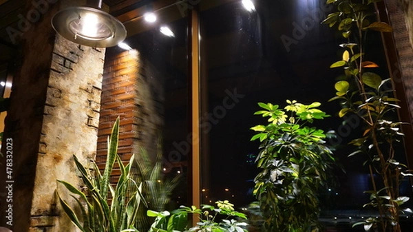Obraz Sansevieria of evergreen perennial herbaceous plants in a cafe in a bar against a brick wall